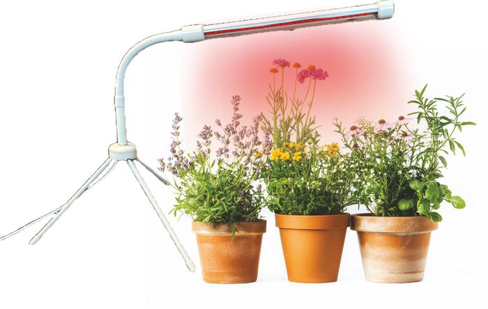 Plant Booster Dual Purpose Grow Light