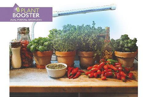 Plant Booster Dual Purpose Grow Light