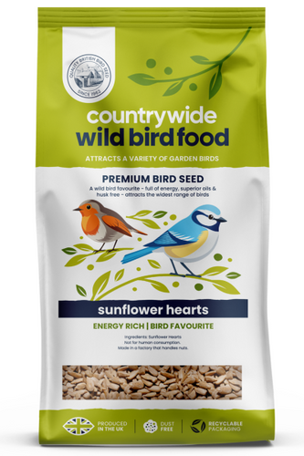 Sunflower Hearts
