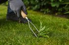 Stainless Steel 2 Prong Weed Fork