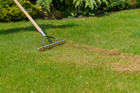 Stainless Steel Scarifying Rake