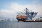 Freight Forwarding, 3PL & 4PL Services