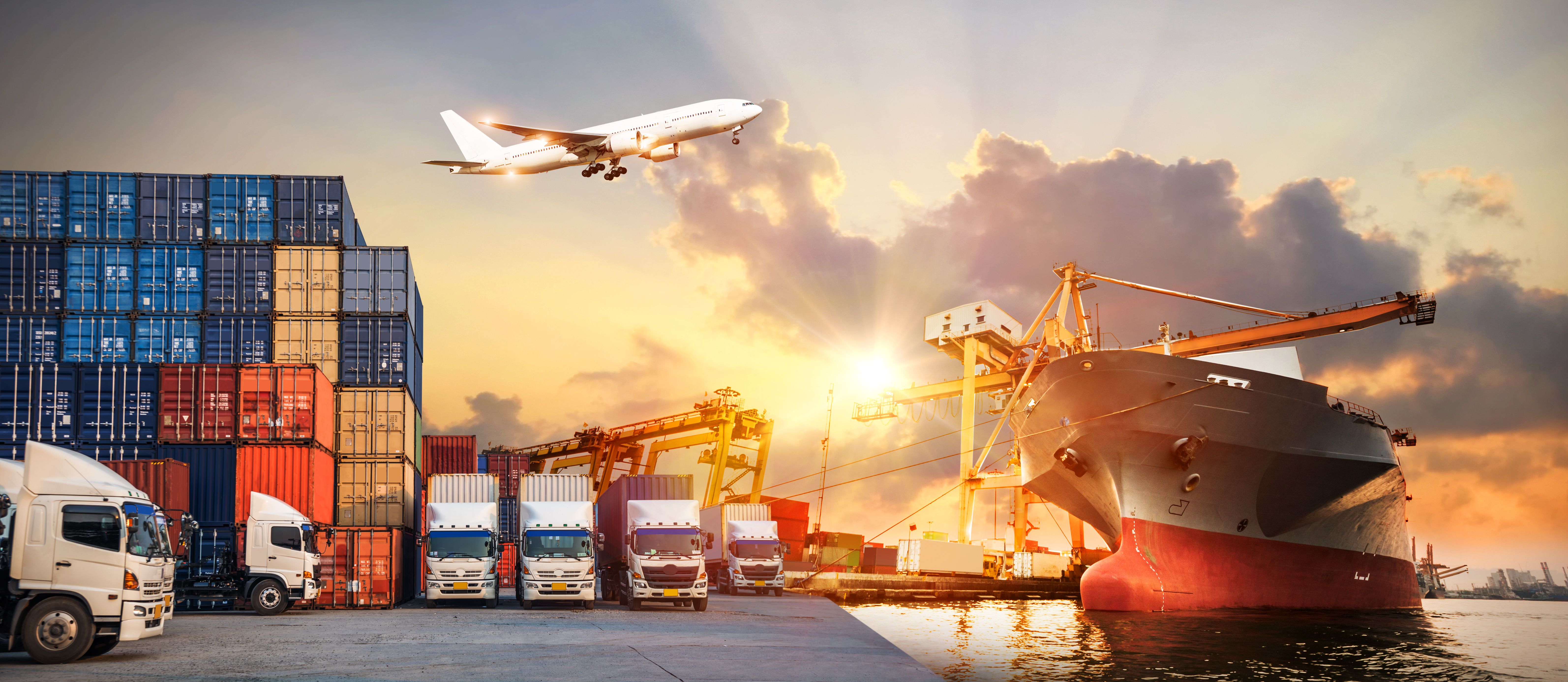 Freight Forwarding, 3PL & 4PL Services