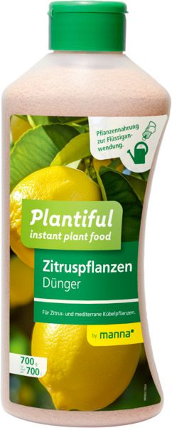 Plantiful Citrus