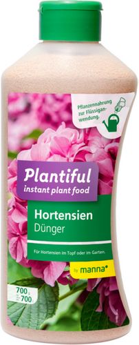 Plantiful Hydrangeas