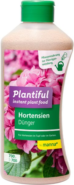 Plantiful Hydrangeas