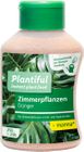 Plantiful Houseplants