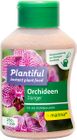 Plantiful Orchids
