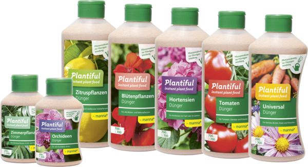 Plantiful Mixed Display