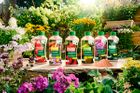 Plantiful Mixed Display