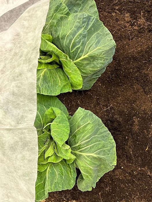 BioFleece 30® Plastic-FREE / Biodegradable frost fleece