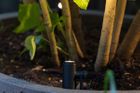in-lite SCOPE