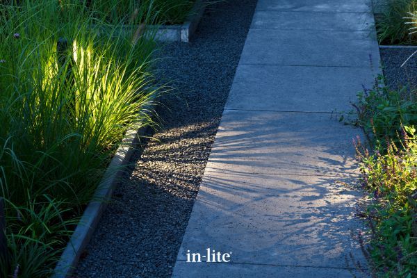 in-lite ACE