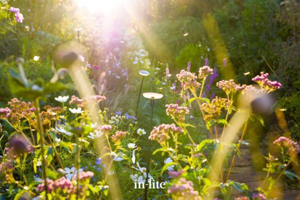 in-lite SWAY
