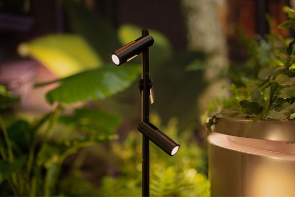 in-lite AIM