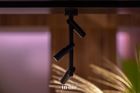 in-lite AIM