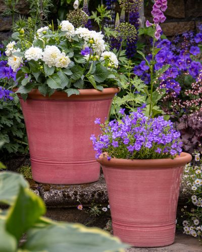 Smith & Jennings Kitchen Planter in Pink