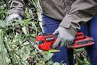 PXC 18V Cordless Professional Brushless Pruning Shears, Body Only