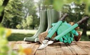 Pruners and loppers