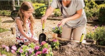 Digging & raking tools