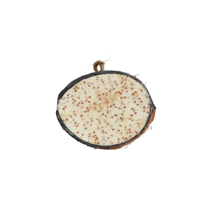 SuetToGo Filled Half Coconut Feeder