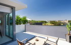Privacy screen wall fence