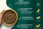 Chicken & Butternut Squash with New Zealand Green-Lipped Mussel, For Large & Medium Breeds