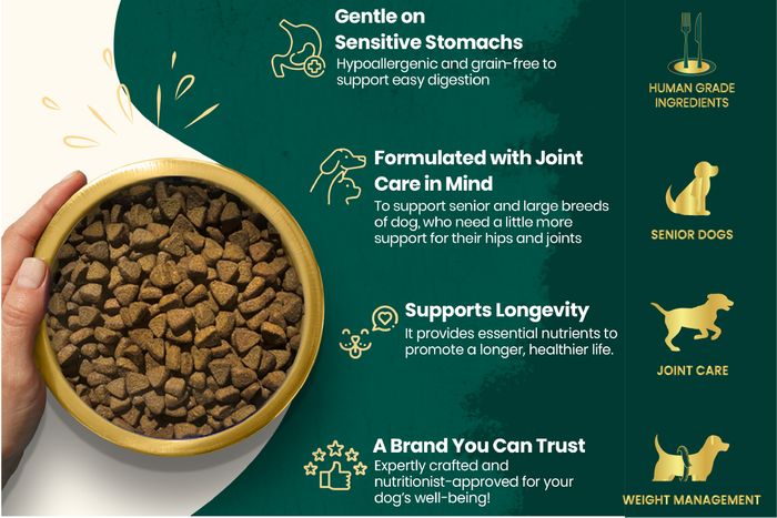 Chicken & Butternut Squash with New Zealand Green-Lipped Mussel, For Large & Medium Breeds