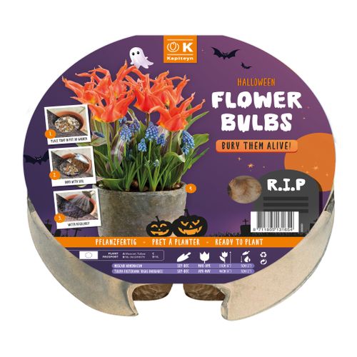 Biodegradable flower bulb tray in a Halloween theme