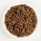 DRIED MEALWORMS