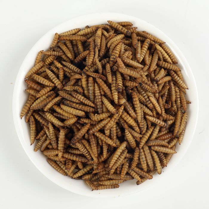 DRIED MEALWORMS