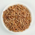 DRIED MEALWORMS