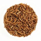DRIED MEALWORMS