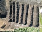 SF40 Biochar Multi-Purpose Compost
