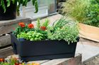 Biolan Planter
