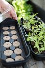 Biolan Propagator with Pellets