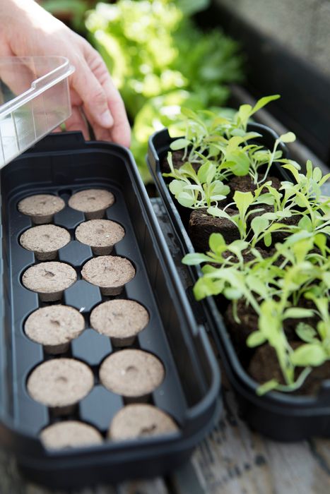 Biolan Propagator with Pellets