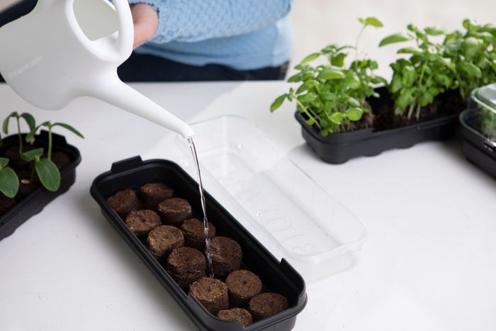 Biolan Propagator with Pellets