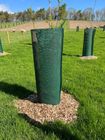 Eco Ramial Chipped Willow Mulch