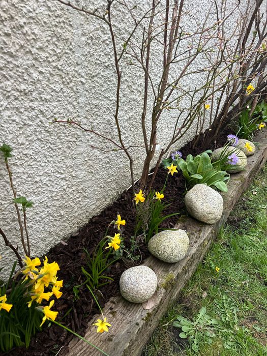 Eco Slow-Feeding Ramial Mulch