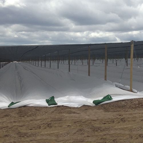 PP non woven frost protection fleece