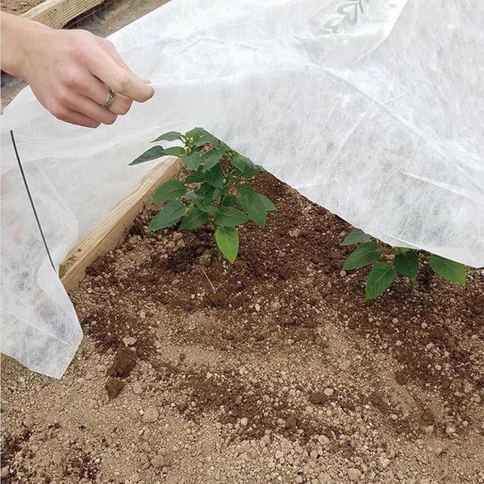 Garden fleece