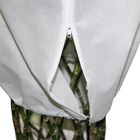 Plant cover