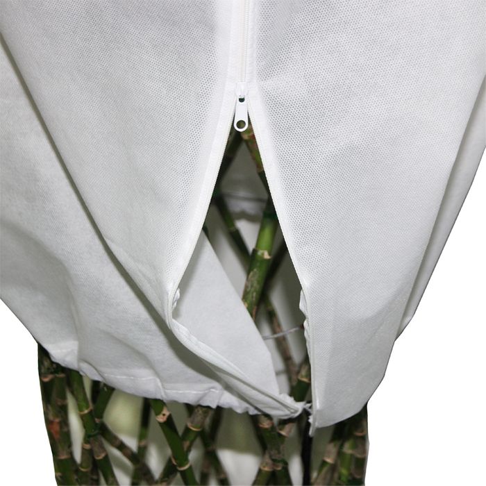 Plant cover