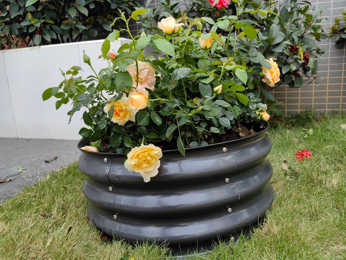 Corrugated Metal Raised Garden Planter for Plants