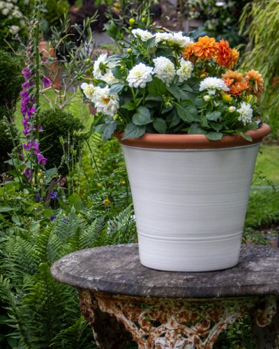 Smith & Jennings Kitchen Planter in Cream Glaze