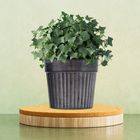 Metal Galvanised Pots and Planters