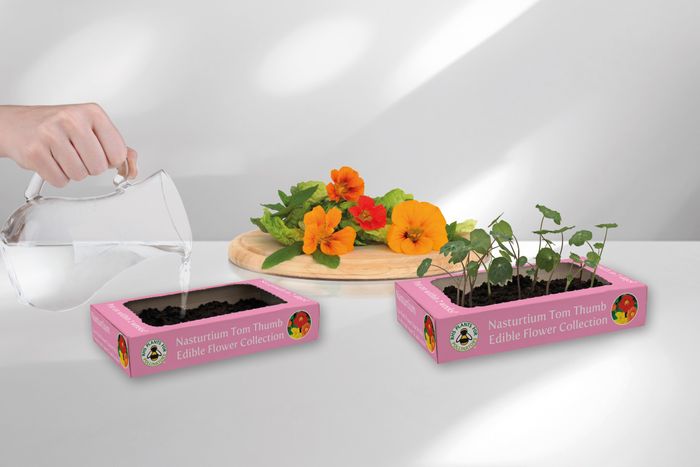 Speedy Seed Tear & Grow Seed Starter kits