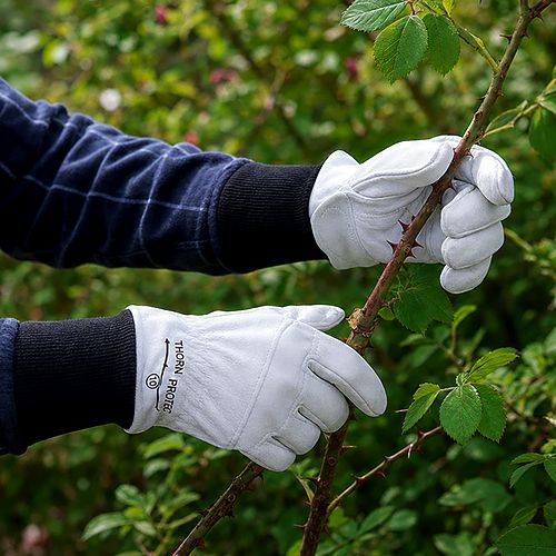 Barb Thorn Protect Gloves