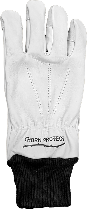 Barb Thorn Protect Gloves